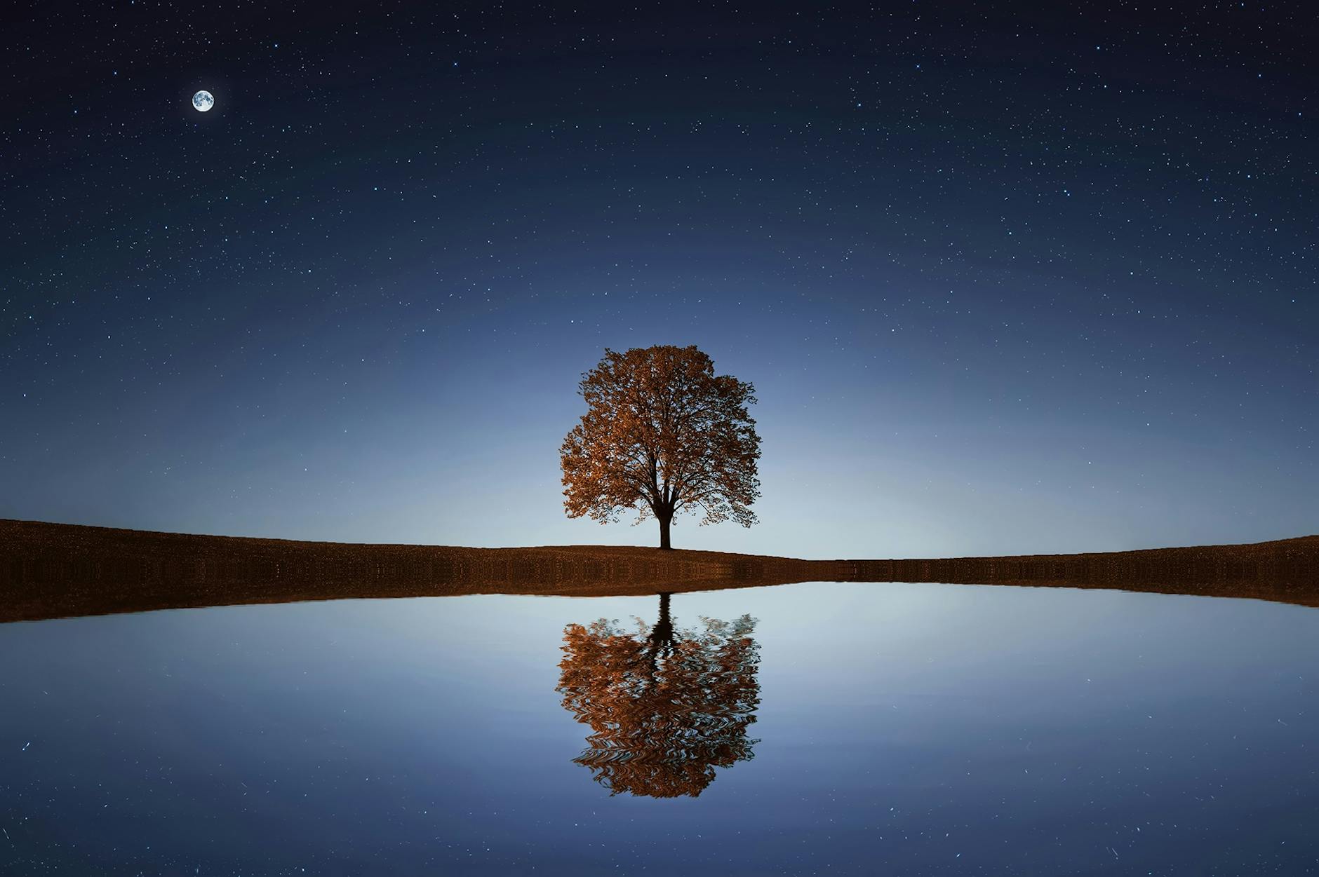 Self-Leadership