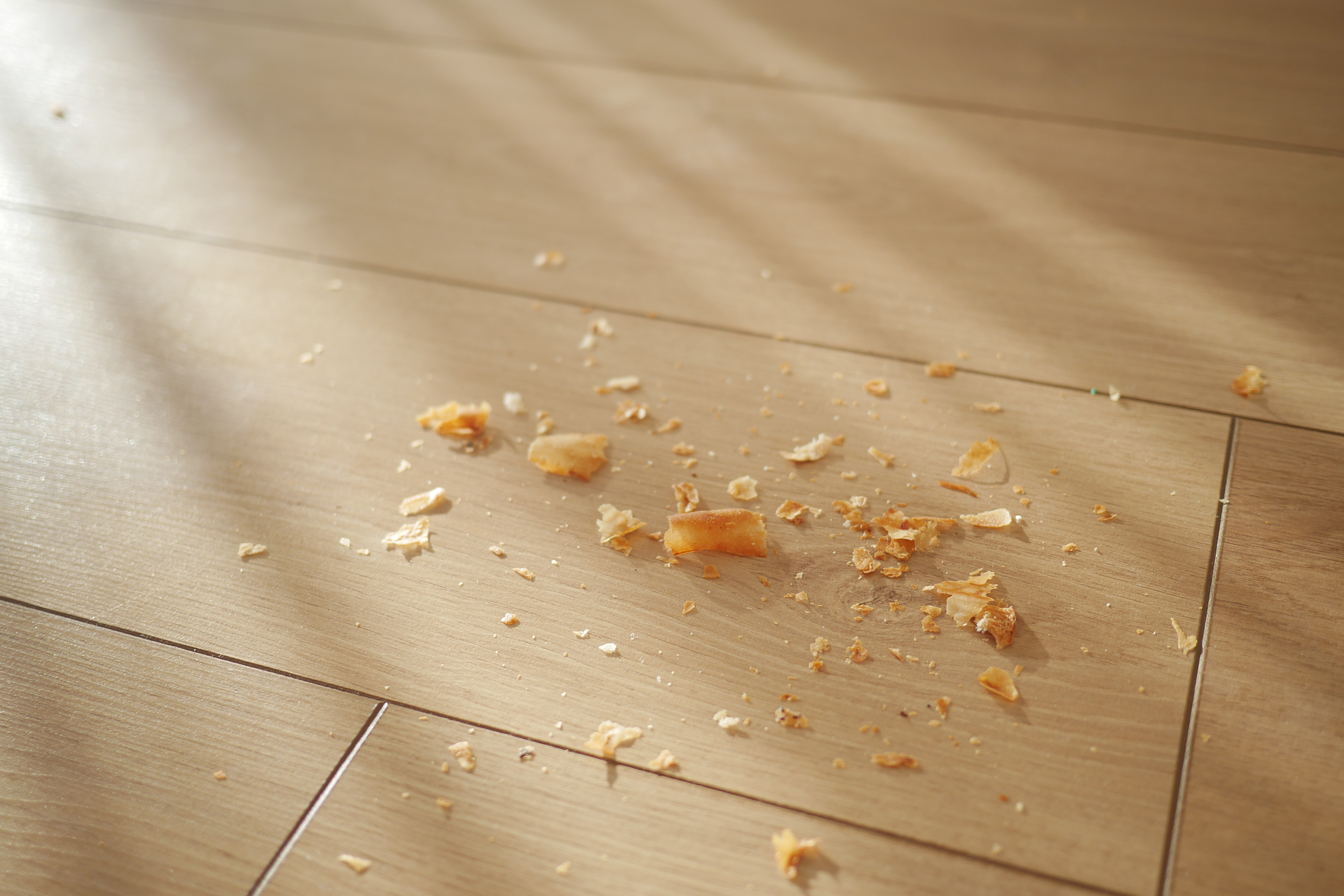 Crumbs on floor