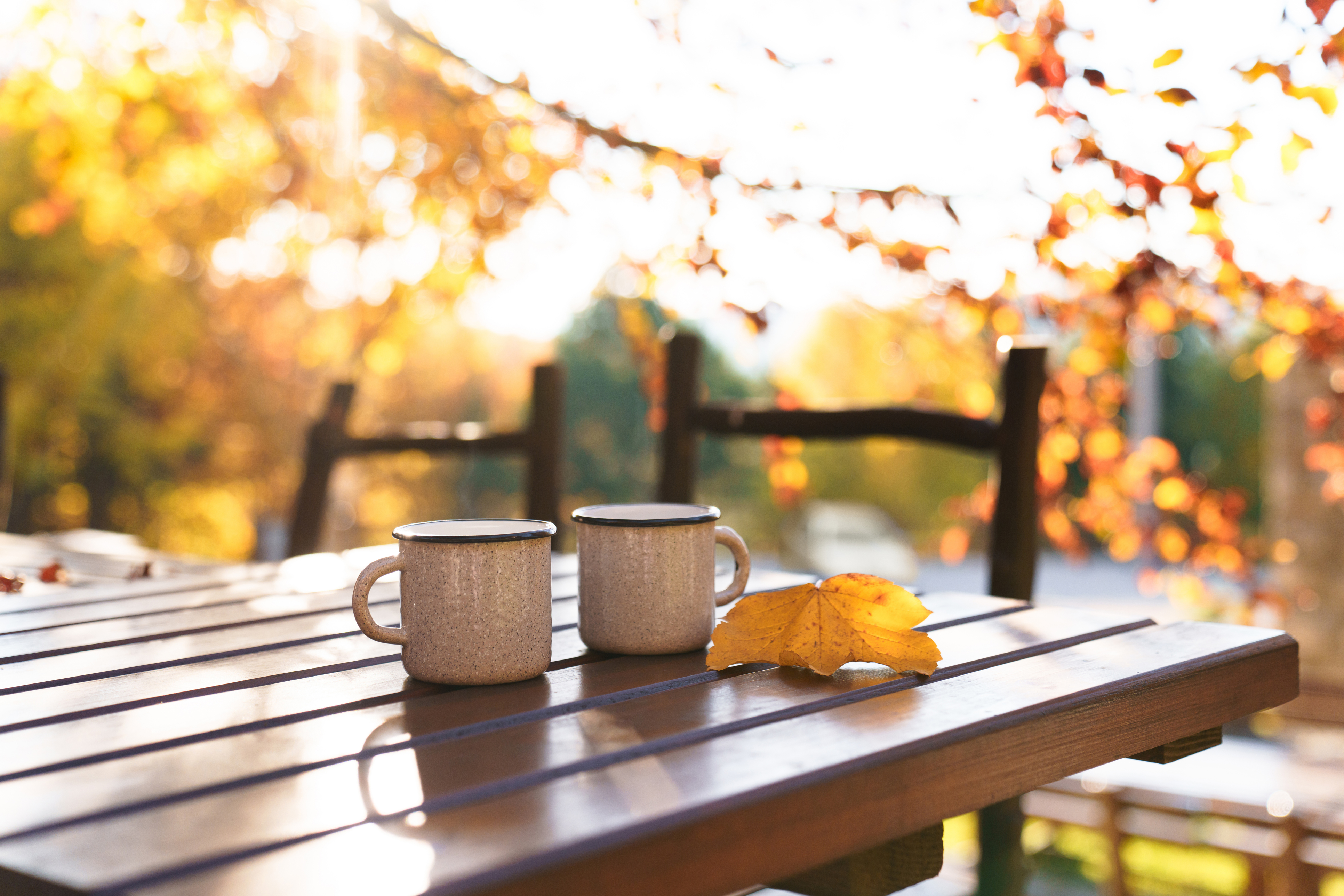 Autumn patio table with two mugs